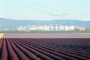 广州中国十七块金牌