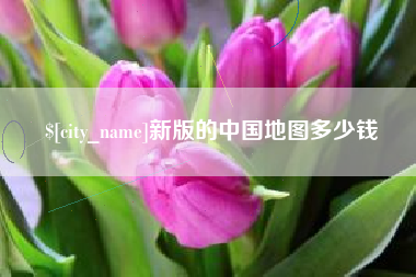 广州新版的中国地图多少钱