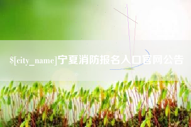 广州宁夏消防报名入口官网公告