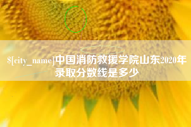 广州中国消防救援学院山东2020年录取分数线是多少