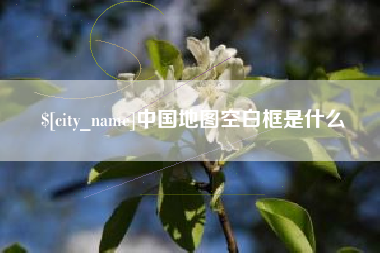 广州中国地图空白框是什么