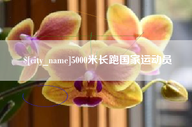 广州5000米长跑国家运动员