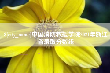 广州中国消防救援学院2021年浙江省录取分数线