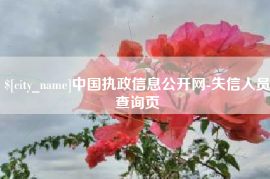 广州中国执政信息公开网-失信人员查询页