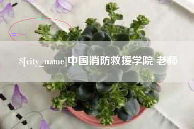 广州中国消防救援学院 老师