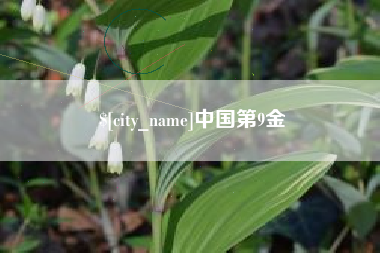 广州中国第9金