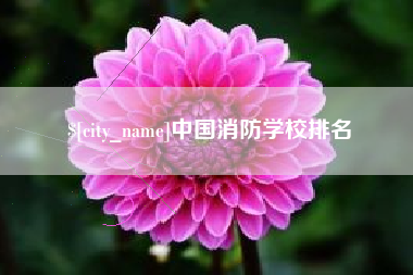 广州中国消防学校排名