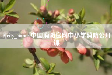 广州中国消防官网中小学消防公开课