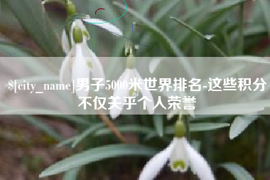 广州男子5000米世界排名-这些积分不仅关乎个人荣誉