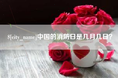 广州中国的消防日是几月几日？