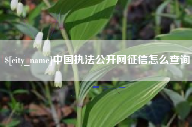 广州中国执法公开网征信怎么查询
