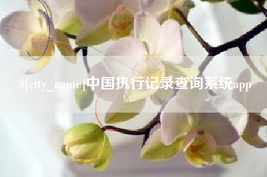 广州中国执行记录查询系统app