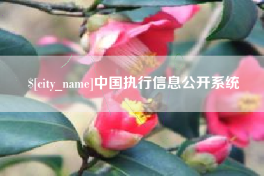 广州中国执行信息公开系统