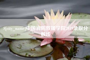 广州中国消防救援学院2019录取分数线