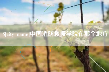 广州中国消防救援学院在那个地方