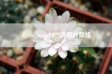 广州2021消防分数线