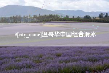 广州温哥华中国组合滑冰