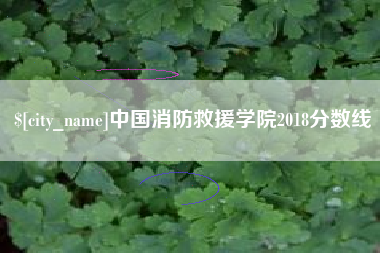 广州中国消防救援学院2018分数线