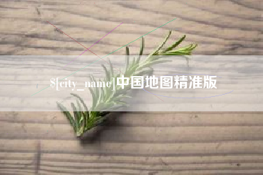 广州中国地图精准版