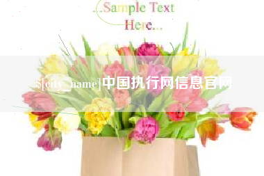 广州中国执行网信息官网