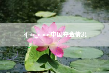 广州中国夺金情况