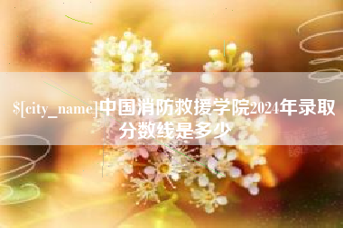 广州中国消防救援学院2024年录取分数线是多少