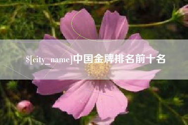 广州中国金牌排名前十名