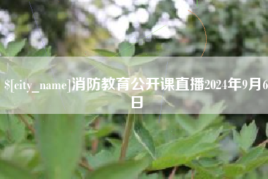 广州消防教育公开课直播2024年9月6日