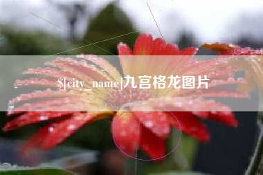 广州九宫格龙图片