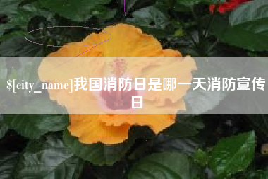 广州我国消防日是哪一天消防宣传日