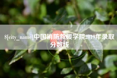 广州中国消防救援学院2019年录取分数线