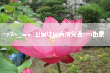 广州卫星地图高清免费2024街景