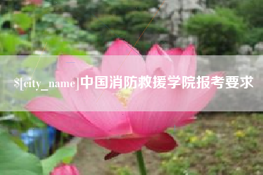 广州中国消防救援学院报考要求
