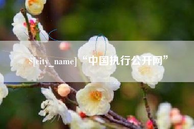 广州“中国执行公开网”