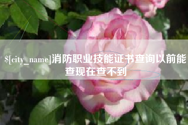 广州消防职业技能证书查询以前能查现在查不到