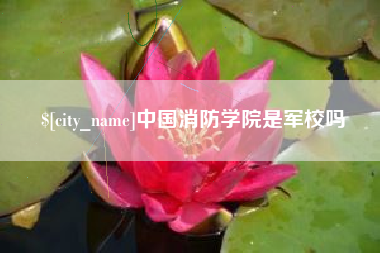 广州中国消防学院是军校吗