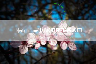 广州国家消防报名入口