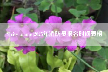 广州2025年消防员报名时间表格