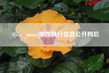 广州中国执行信息公开网后