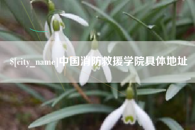 广州中国消防救援学院具体地址