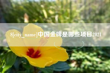 广州中国金牌是哪些项目2021