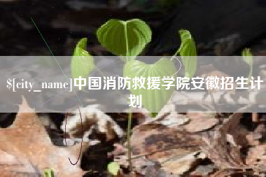 广州中国消防救援学院安徽招生计划