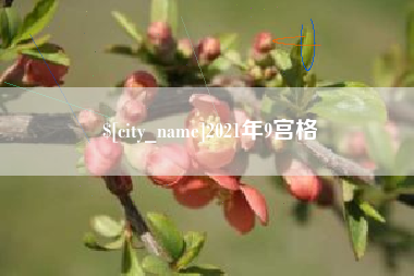 广州2021年9宫格