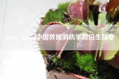 广州中国救援消防学院招生简章