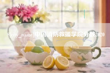 广州中国消防救援学院分数2020