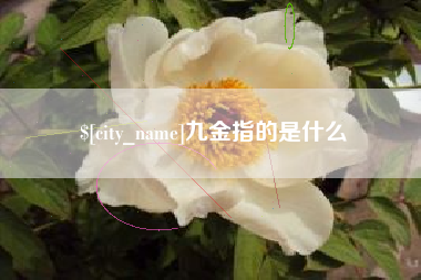 广州九金指的是什么