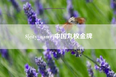 广州中国九枚金牌
