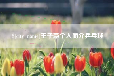 广州王子豪个人简介乒乓球