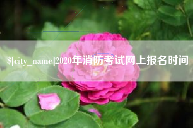 广州2020年消防考试网上报名时间