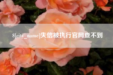 广州失信被执行官网查不到